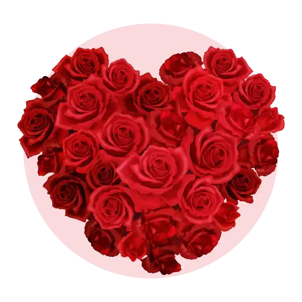 Heart-shaped arrangement of deep red roses, symbolizing love and romance in a beautiful design.