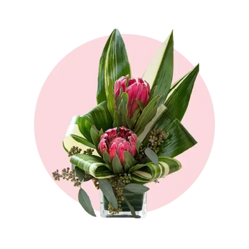 Australian Native Flowers