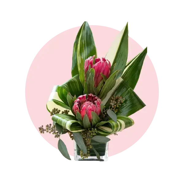 Australian Native Flowers