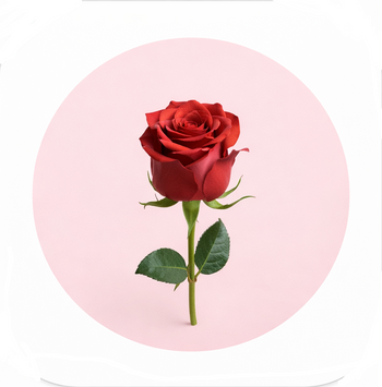 Flower Gift $1