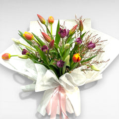Collection image for: Tulips