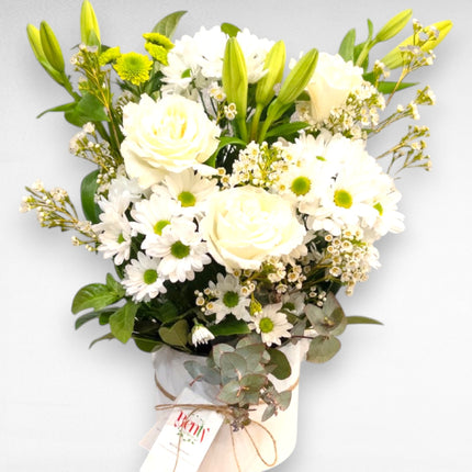 Sympathy Box