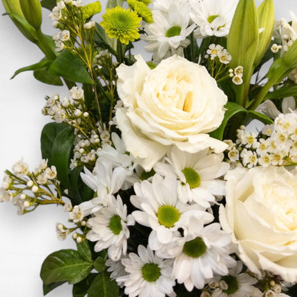 Sympathy Box