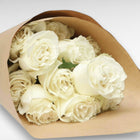 Whispers of Purity