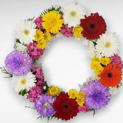 Rainbow Tribute