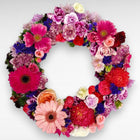 Gerbera Grace