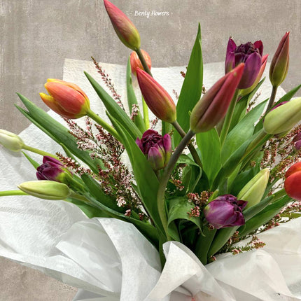 A beautiful arrangement of tulips in a variety of colors, elegantly wrapped in white paper.