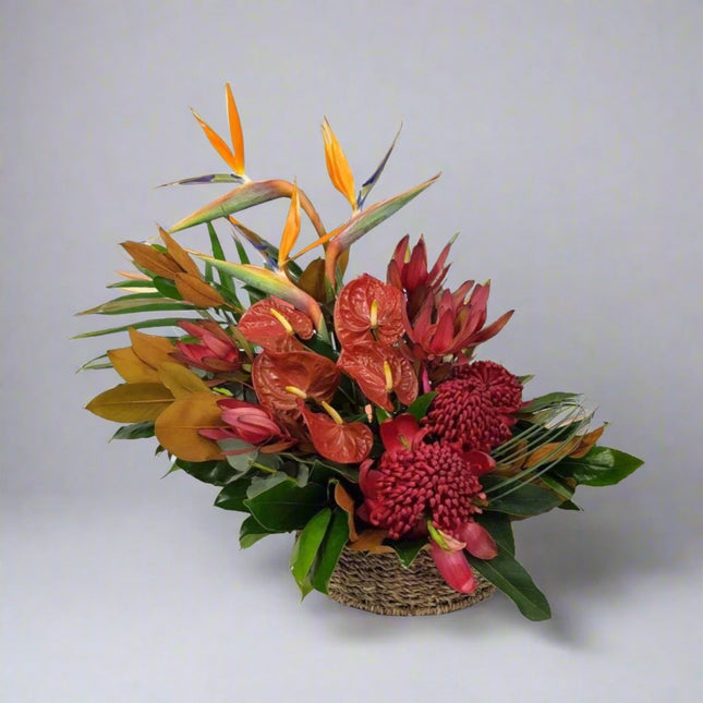 Tropical Paradise – Exotic Floral Basket with Birds of Paradise, red anthuriums, waratah, and lush greenery.