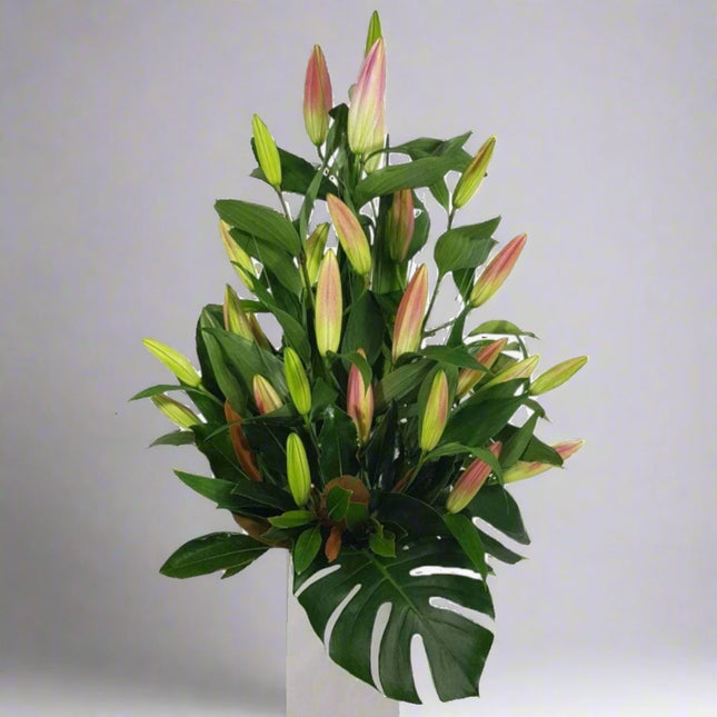 Bouquet of Pink and White Lilies with Green Foliage