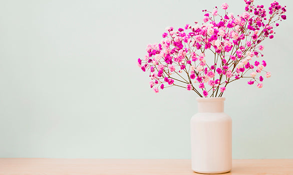 Banner image for: <h3>Outdoor Flower</h3>