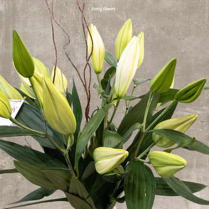 Close-up of Oriental Lily buds arranged elegantly in an Elme Living glass vase.