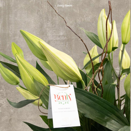 Elegant Oriental Lily Vase with vibrant green foliage and premium Elme Living design.