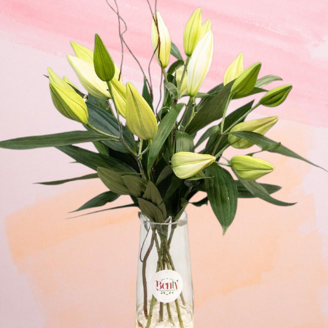 Lily Whisper Vase