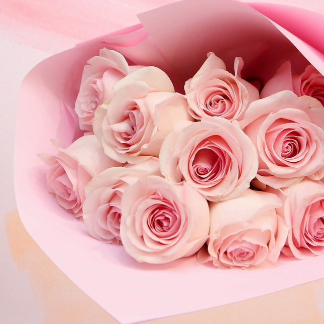 Soft Pink Wishes